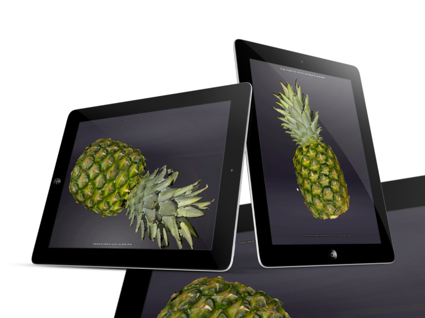 E10pineapple.png