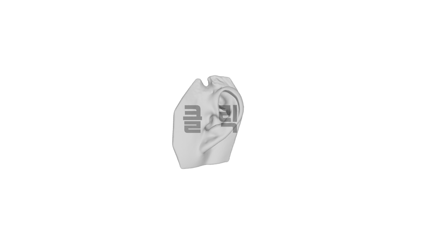 다목적 Expert 3D스캐너, Einscan Pro 2X V2 및 Einscan Pro HD.JPG